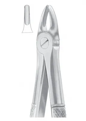 1033 Fig. 37 upper incisors for children 